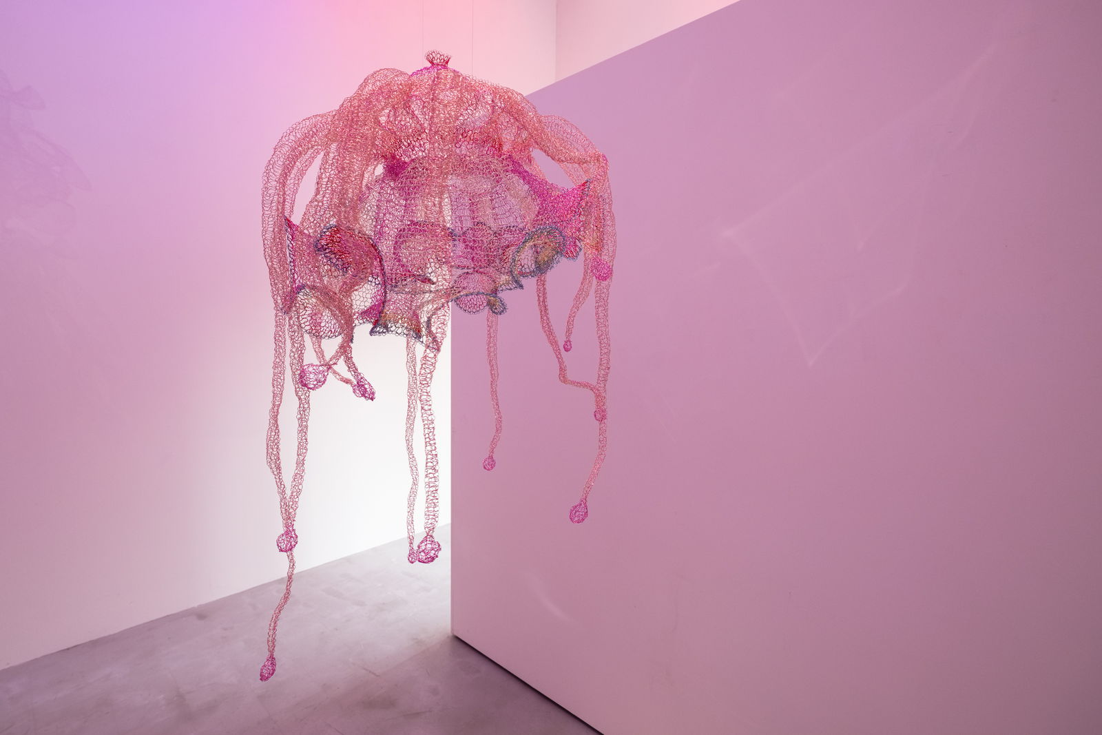 Installation view 2 of An Unusual Knot at Hiro Hiro Art Space, Taipei.