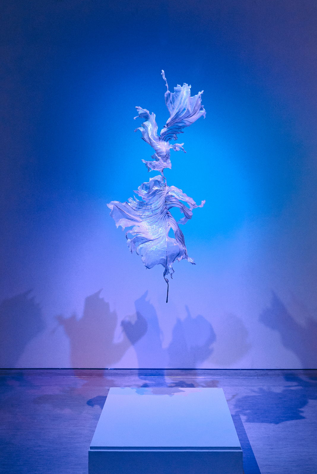Installation view 14 of The Miscellaneous of Being and Living at New Taipei City Arts Center, New Taipei City.