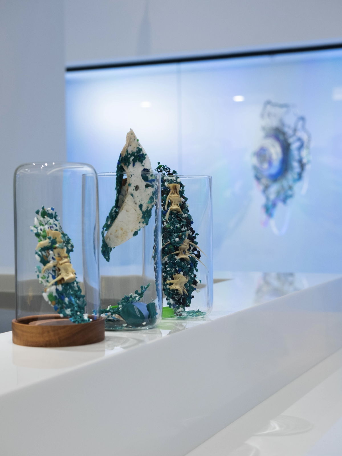 Installation view 12 of The Seedin Lab Ocean at The Seedin Lab, Taipei.