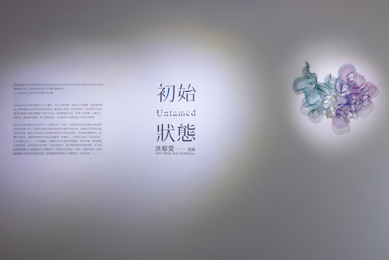 Installation view 2 of Untamed at Soka Art · Tainan, Tainan.