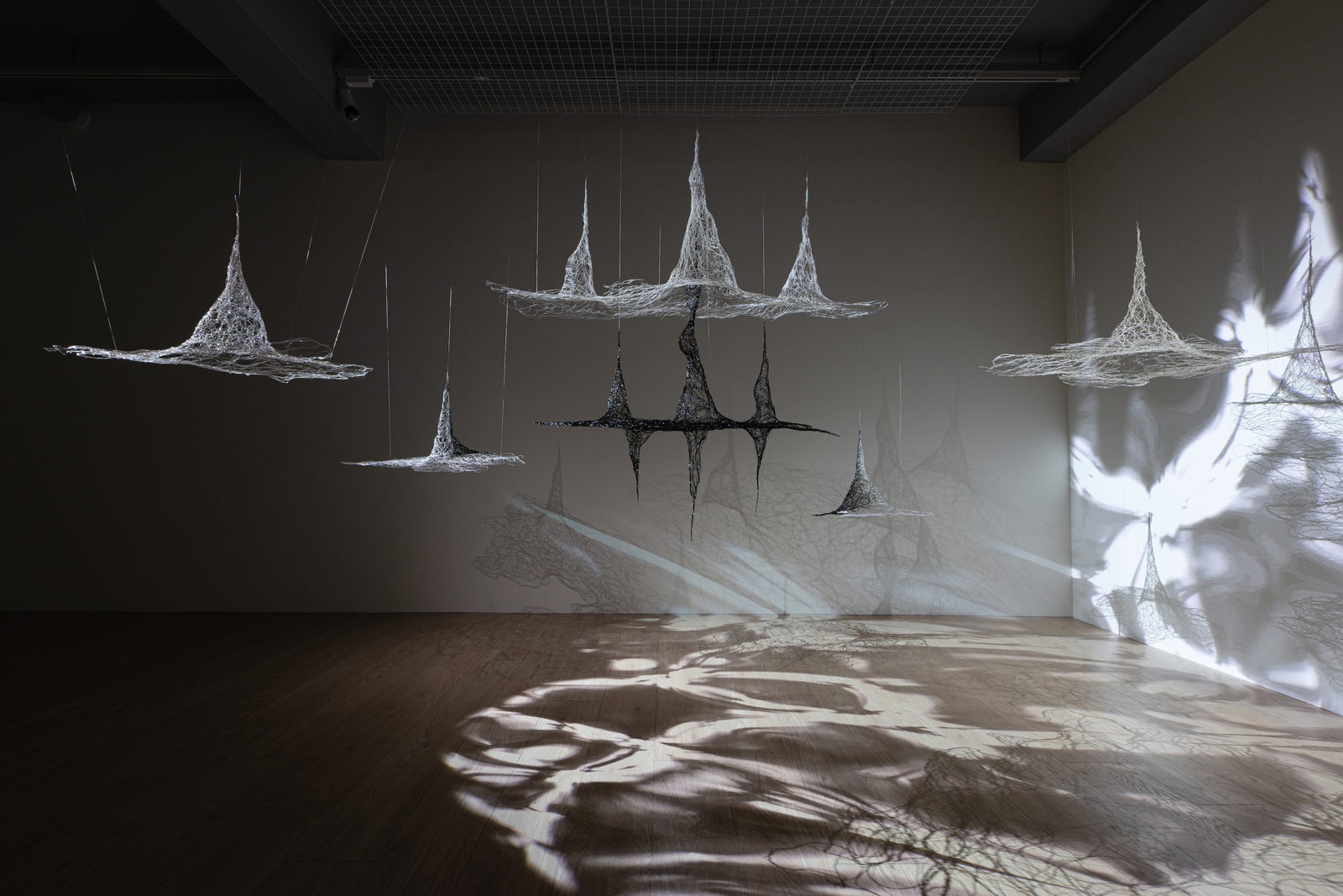 Mystic, view 3, enamelled copper wire, video projection, Dimensions variable.