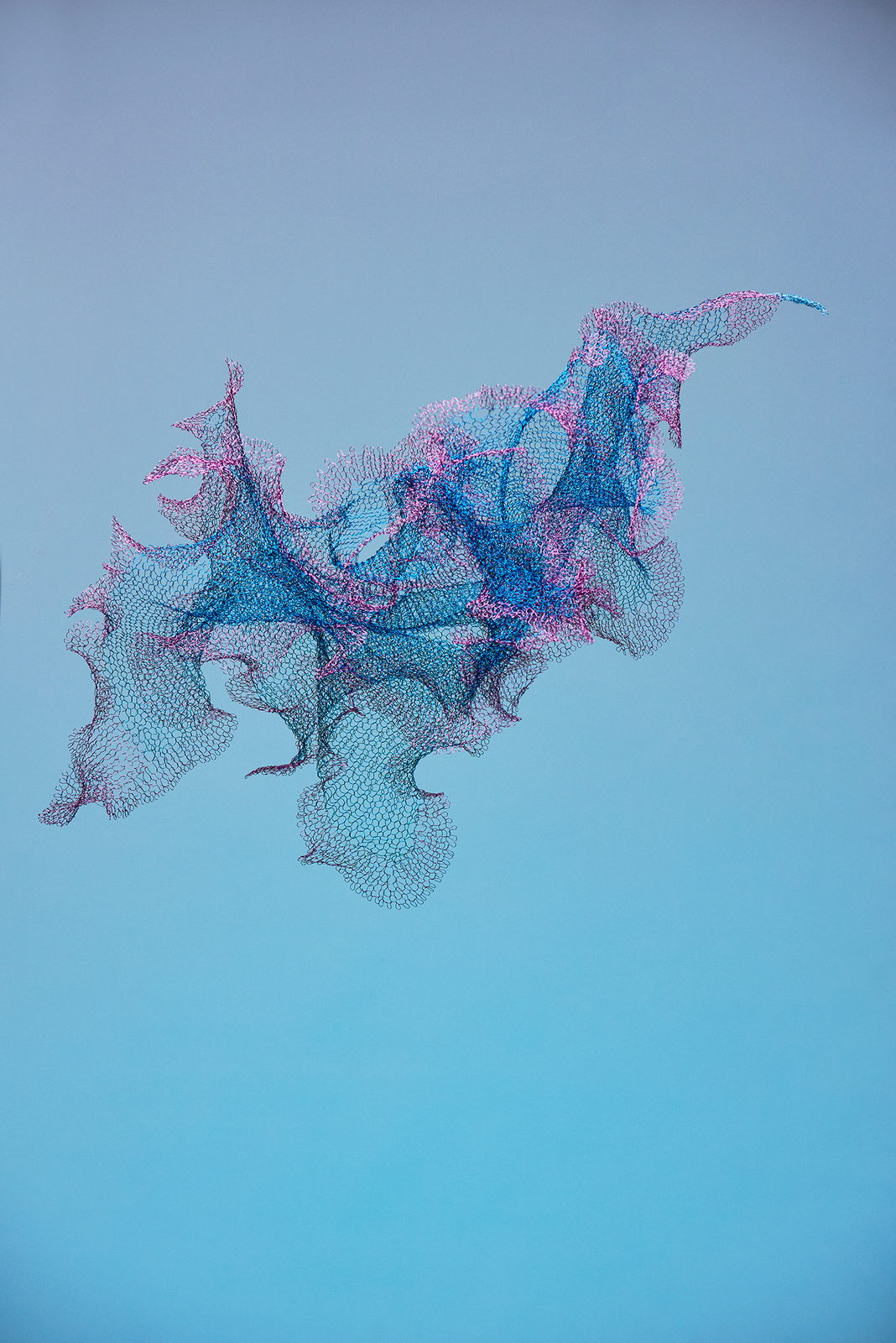 Will Looped, view 2, enamelled copper wire, Size varies.