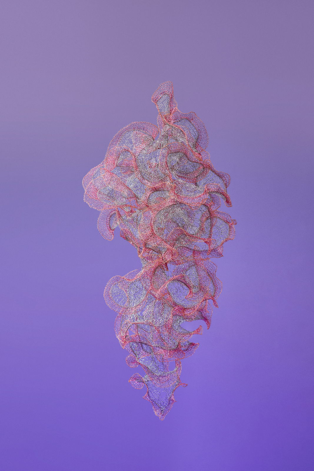 Will Looped, view 4, enamelled copper wire, Size varies.