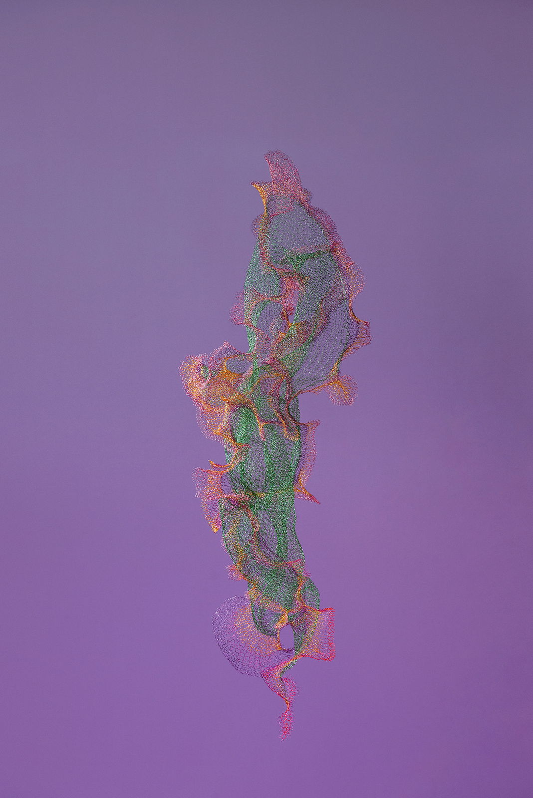 Will Looped, view 5, enamelled copper wire, Size varies.