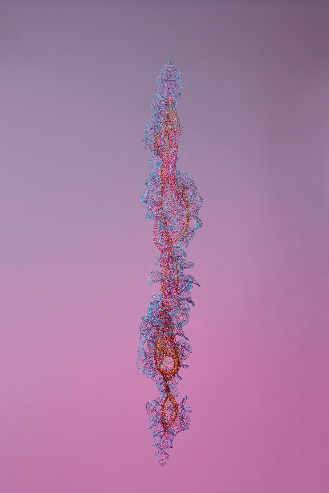 Will Looped, view 7, enamelled copper wire, Size varies.