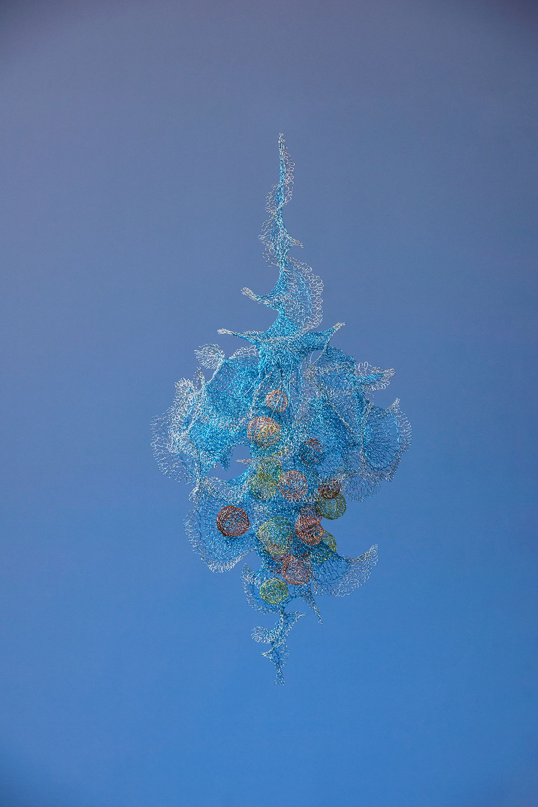 Will Looped, view 9, enamelled copper wire, Size varies.