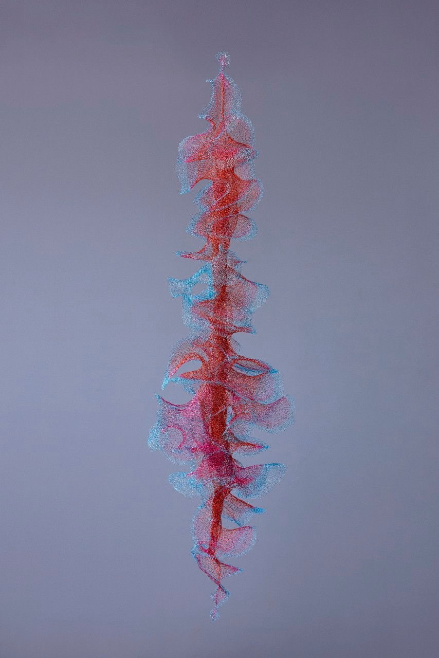 Will Looped, view 10, enamelled copper wire, Size varies.