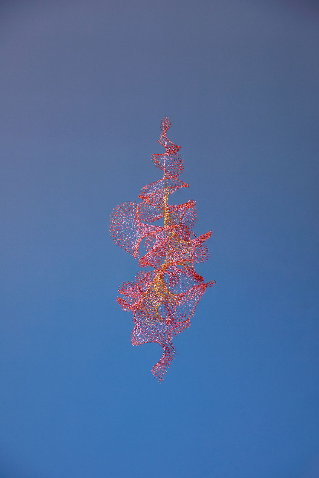 Will Looped, view 11, enamelled copper wire, Size varies.