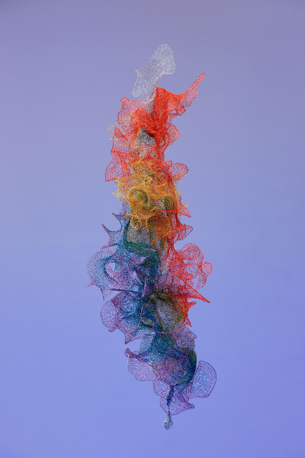Will Looped, view 12, enamelled copper wire, Size varies.